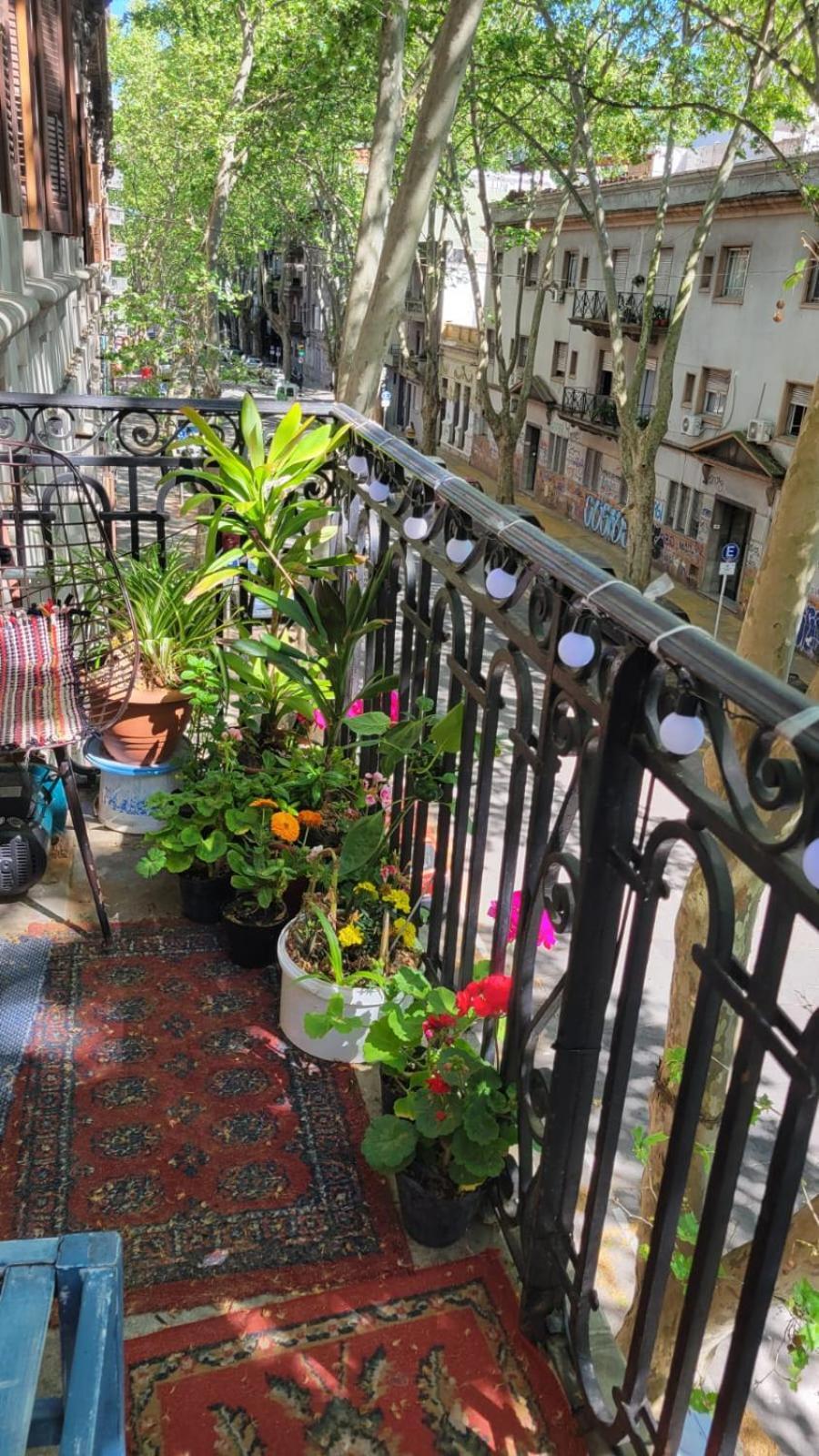 Montevideo Hostel Exteriör bild